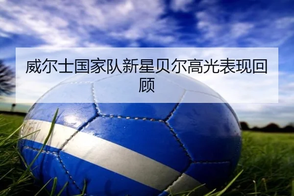 威尔士国家队新星贝尔高光表现回顾